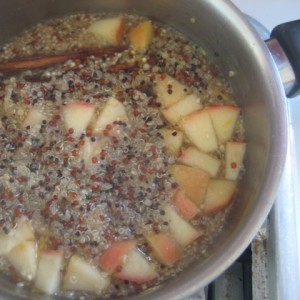 quinoa and apple porridge - Nikki Fisher