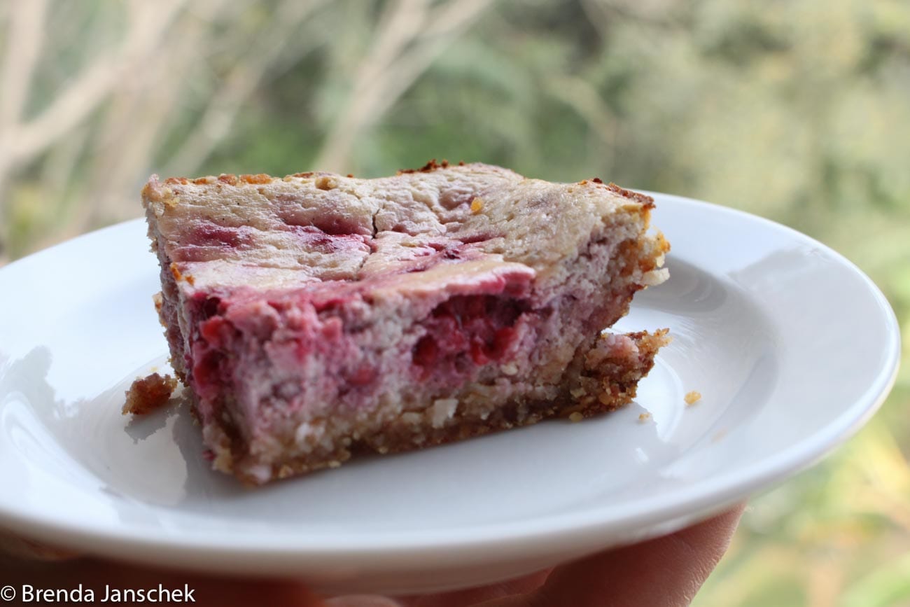 brenda-janschek-recipe-raspberry-swirl-slice-jpeg