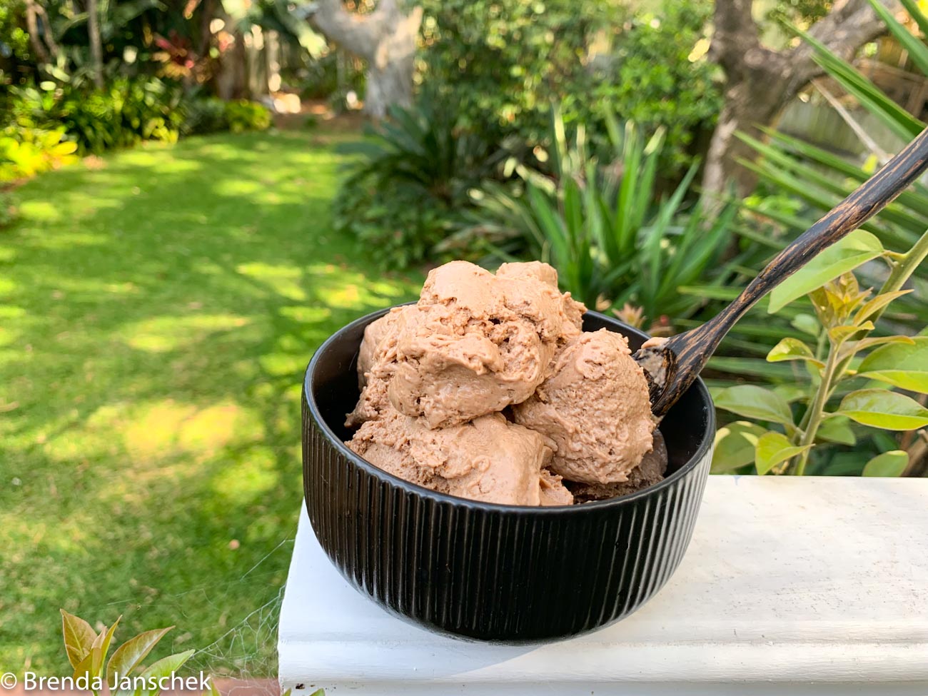 Homemade protein ice discount cream